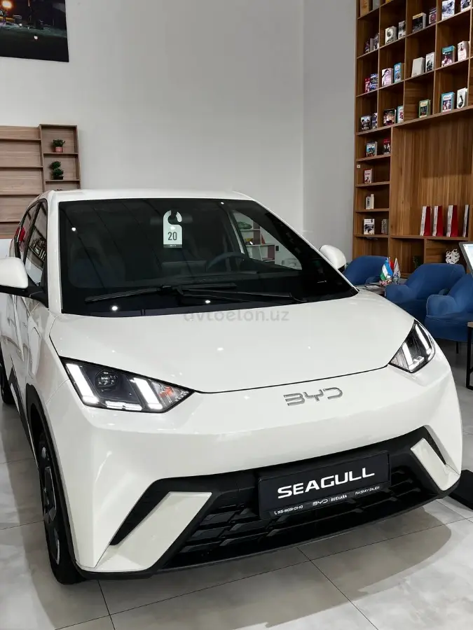BYD Seagull