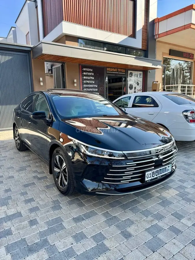 BYD Chazor