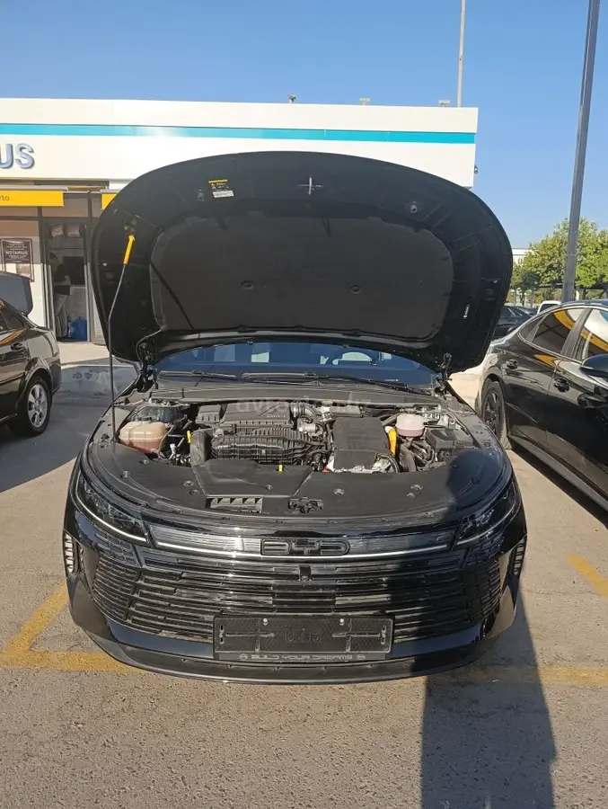 BYD Chazor