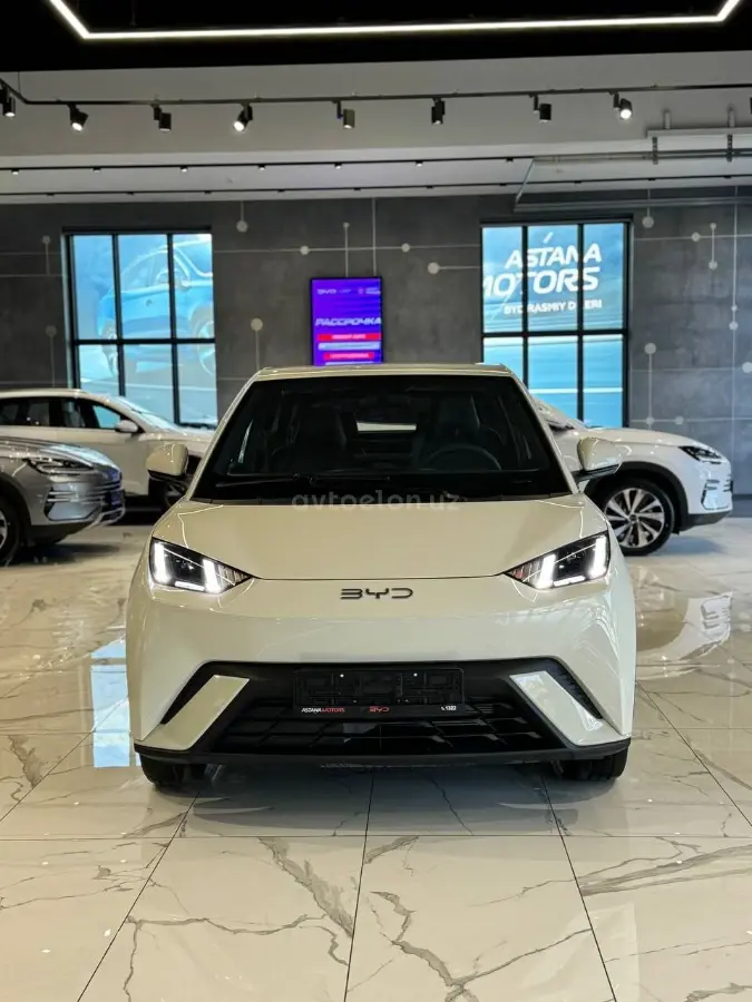 BYD Seagull