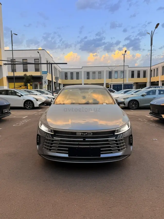 BYD Chazor