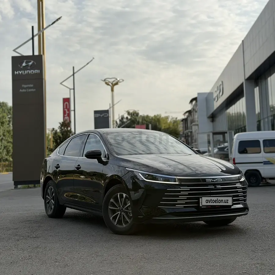 BYD Chazor