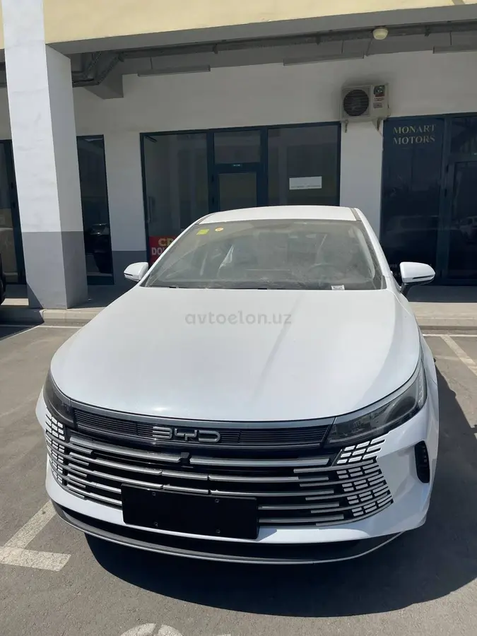 BYD Chazor