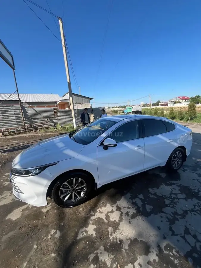 BYD Chazor
