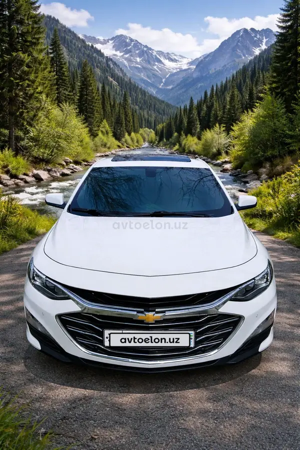 Chevrolet Malibu 2
