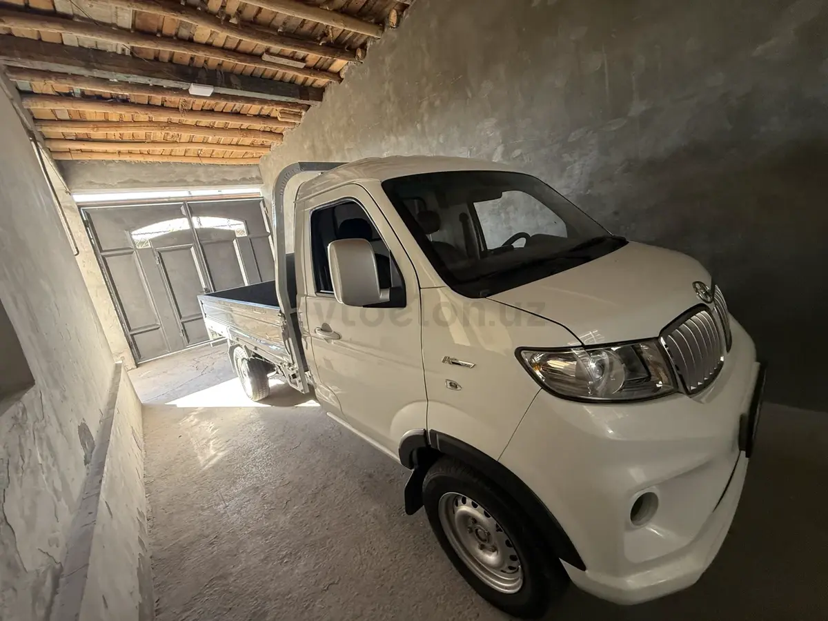 Shineray T30