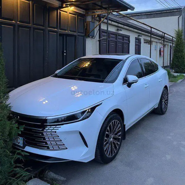BYD Chazor
