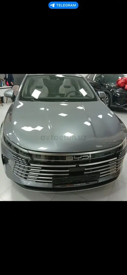 BYD Chazor