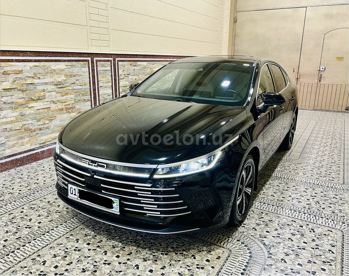 BYD Chazor