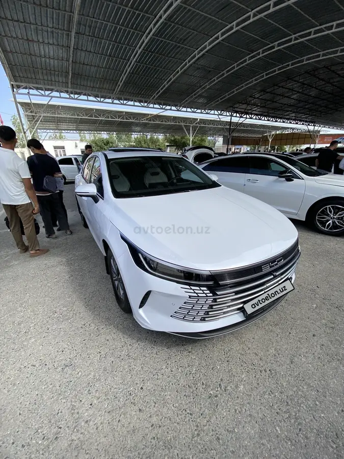BYD Chazor
