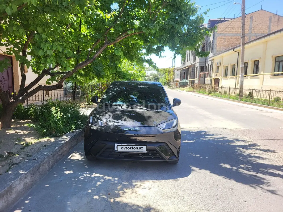 BYD Seagull