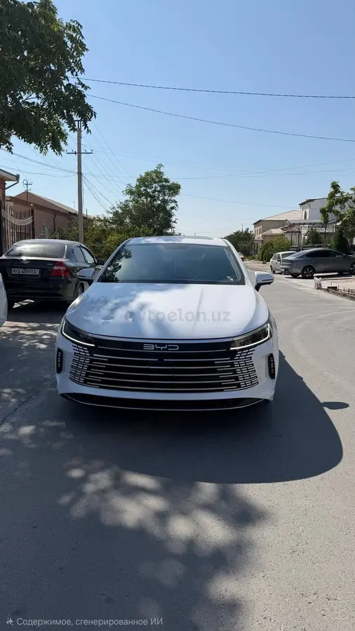 BYD Chazor
