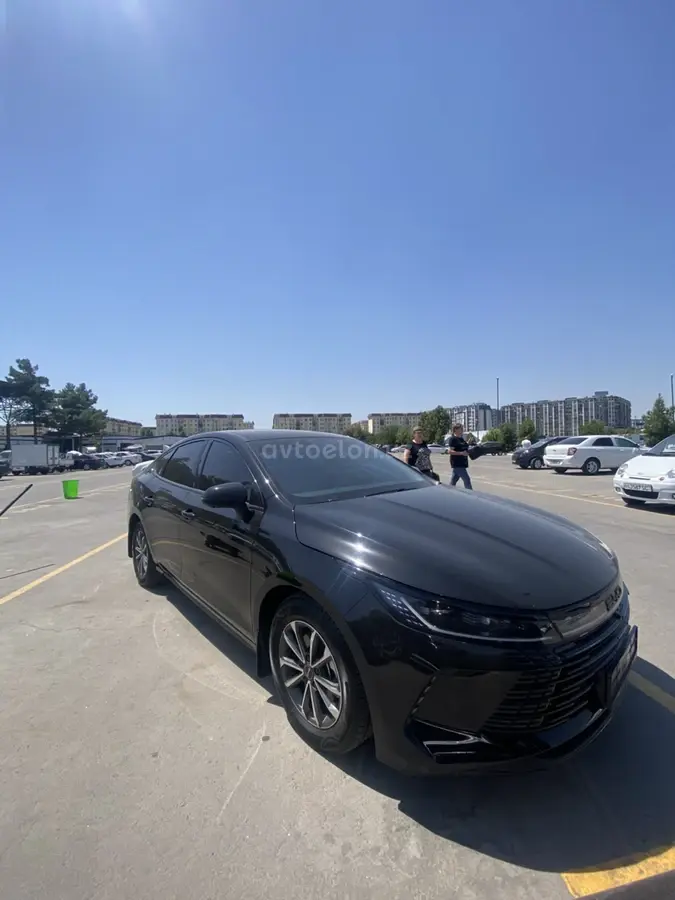 BYD Chazor