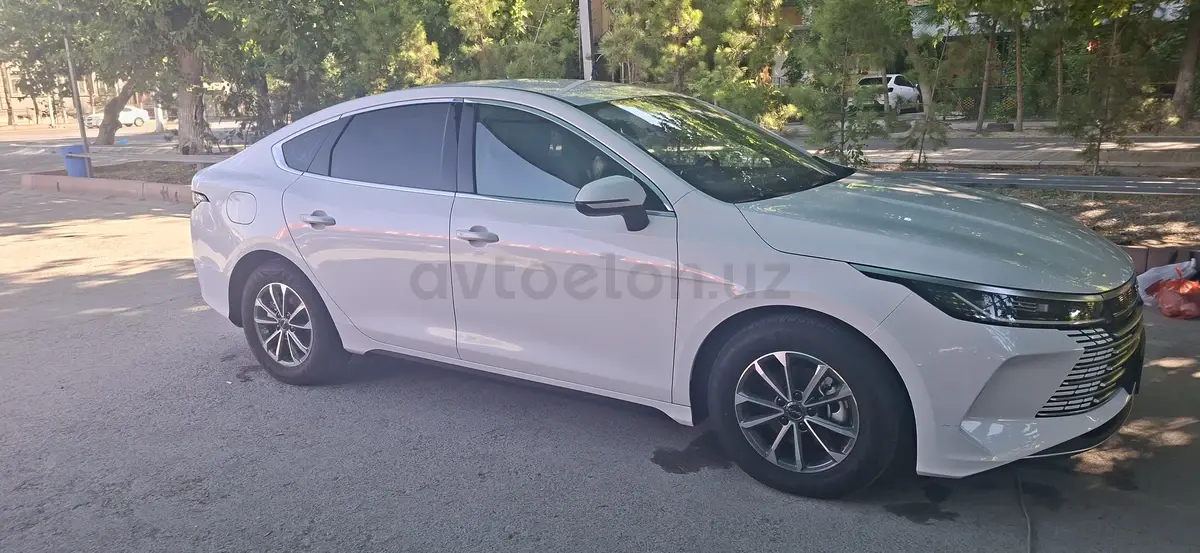 BYD Chazor