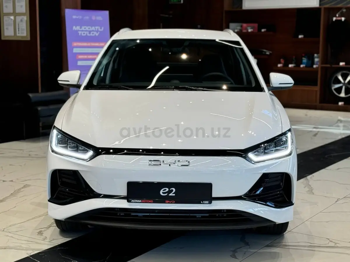 BYD e2