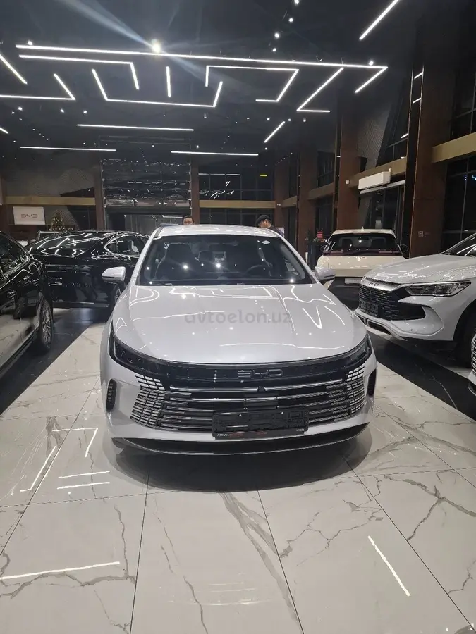 BYD Chazor