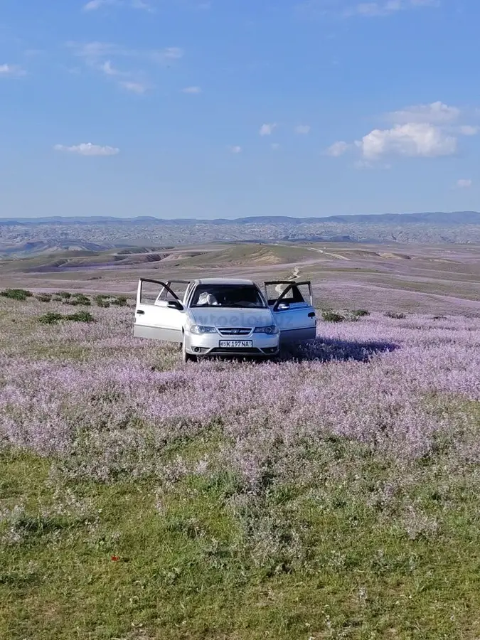 Daewoo Nexia II,  4 позиция SOHC