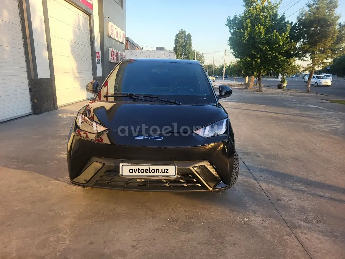 BYD Seagull
