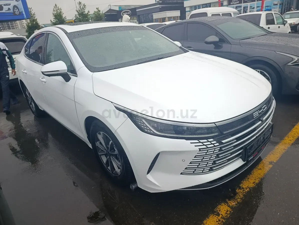 BYD Chazor