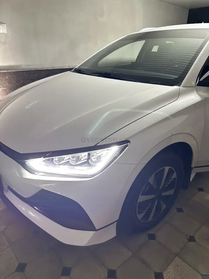 BYD e2