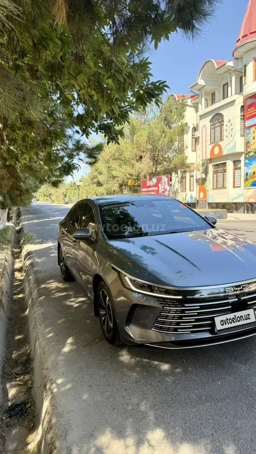 BYD Chazor