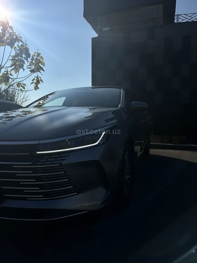 BYD Chazor