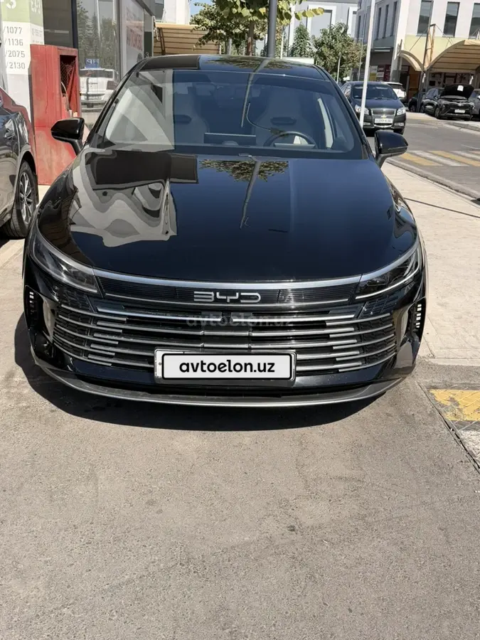 BYD Chazor