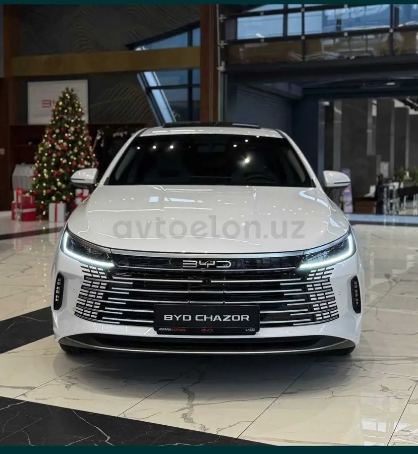 BYD Chazor