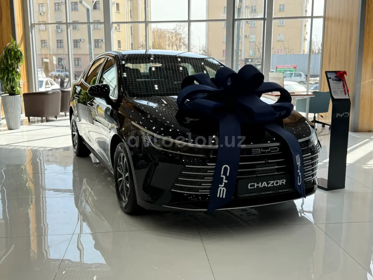 BYD Chazor